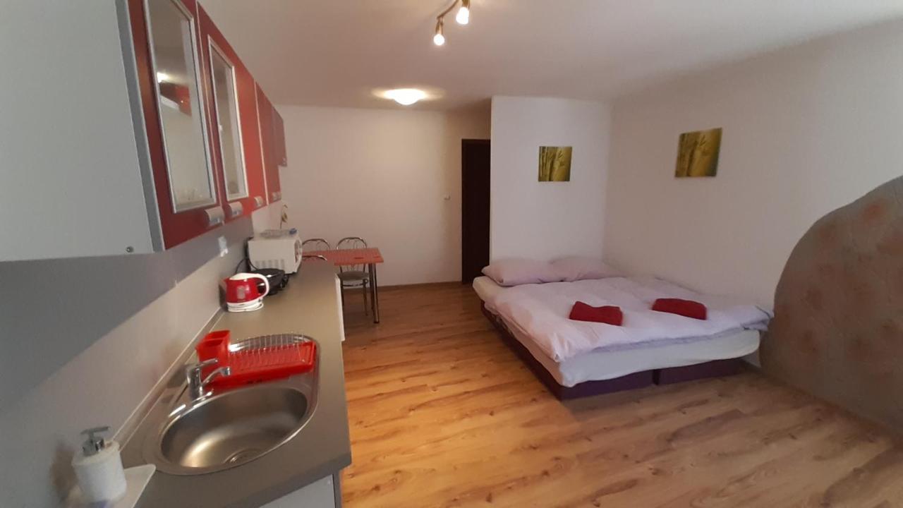 Privat Bene Apartment Vyšné Ružbachy Екстериор снимка